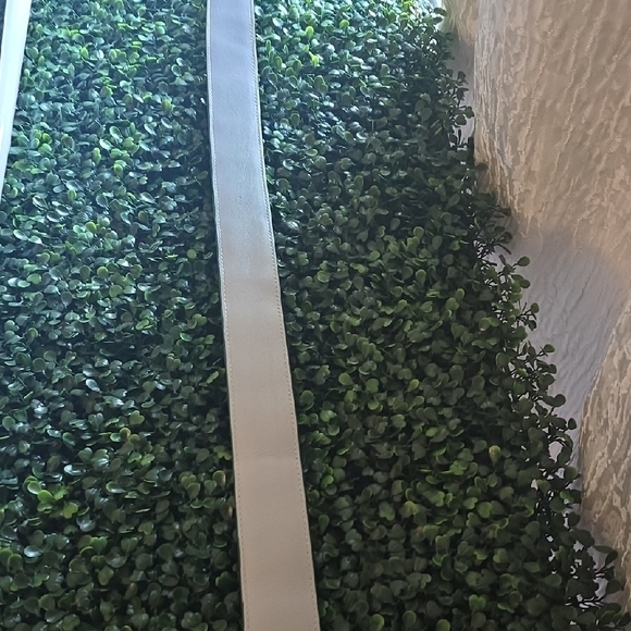 Strap - Picture 11 of 11